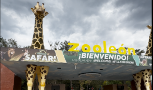Captura de pantalla 2026-07-24 224828